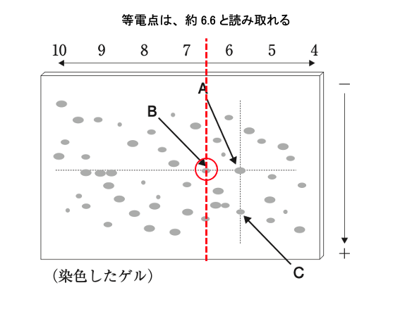 解説画像